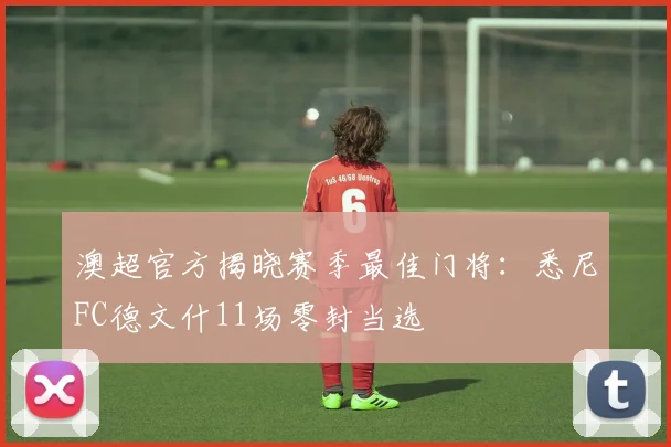 澳超官方揭晓赛季最佳门将：悉尼FC德文什11场零封当选